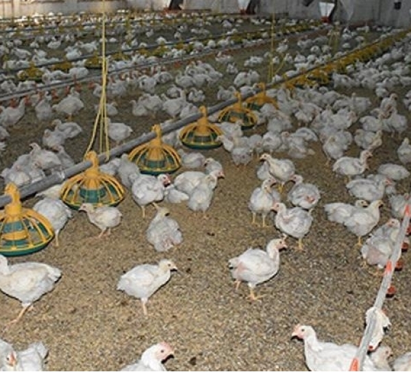 Yerden Is�tma Sistemleri